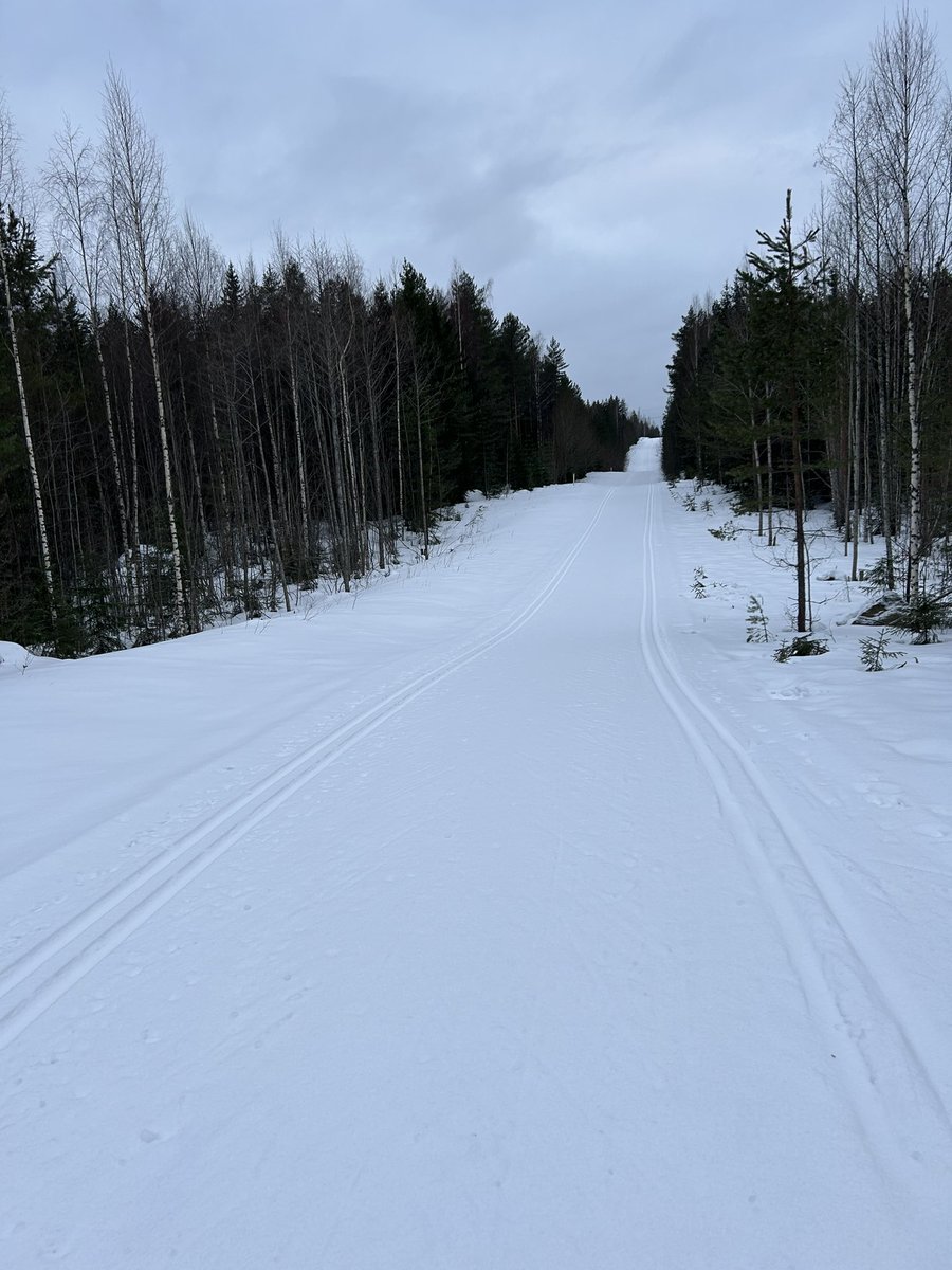 AriLindstrom's tweet photo. Tusen tack! #kansanhiihtovihko lukemissa 1000/1000. Lunta riittää ja kuntokin vähän sinnepäin. Tonni tuli täyteen taas #LemPi-metsän tutussa risteyksessä. Ensi viikonloppuna sitten uusia latuja tiedossa. https://t.co/turSqoVcyi