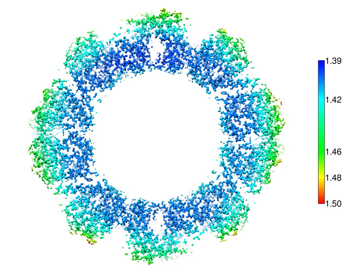 Christos Savva tweet media
