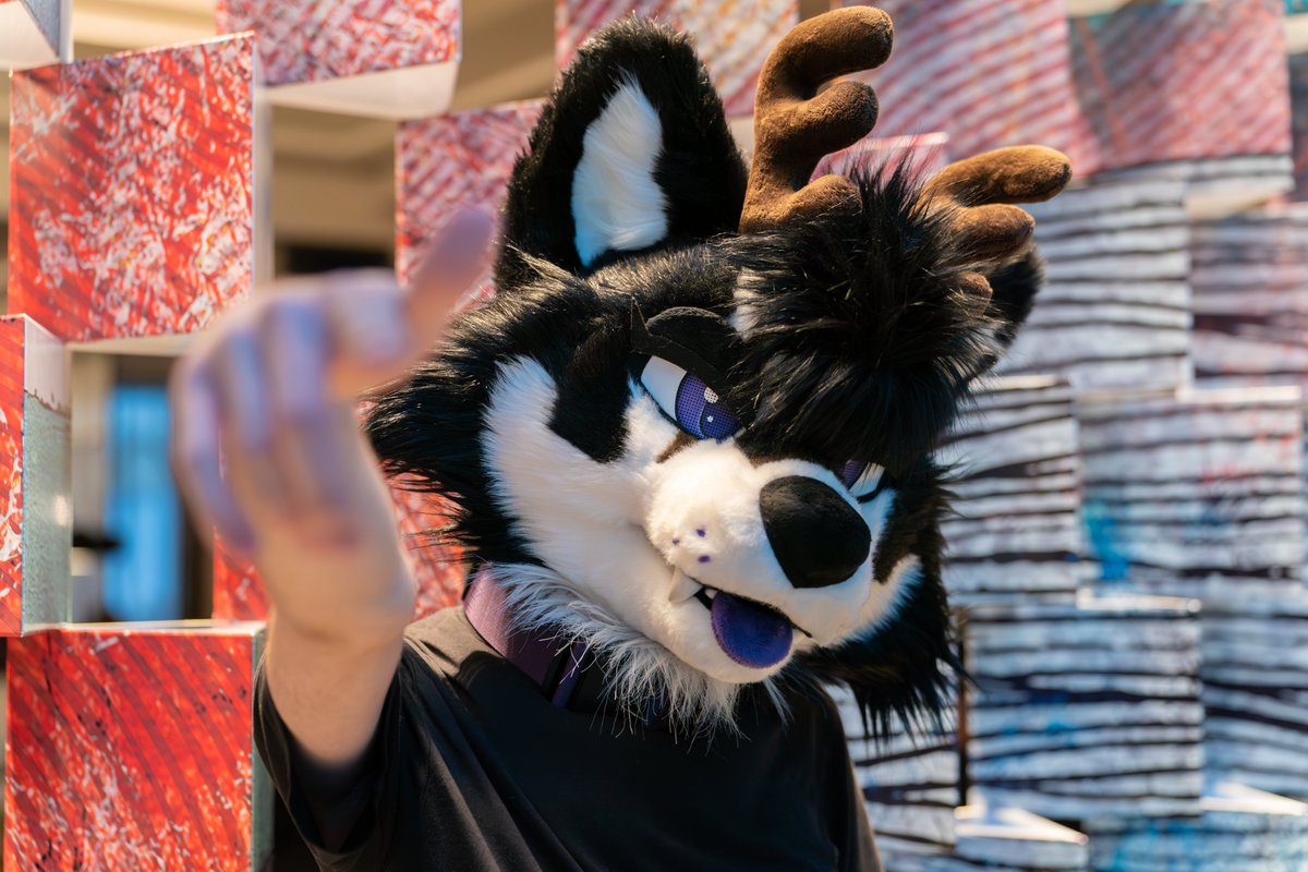 🦊: <a href="/Raziihell/">razihel 🔜 AC ‘25</a>
🧵: <a href="/DontHugCacti/">🌵Don't Hug Cacti LLC🌵</a>
📷: @keeewiiii

#furryfiesta #TFF2024 #furries #fursuit