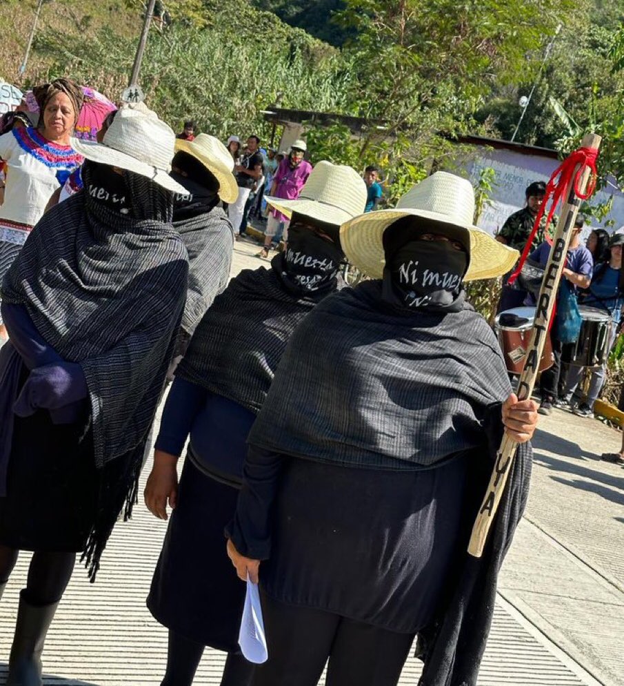 Indigenous Mazatec women create self-defense groups in the heart of the Oaxacan highlands to defend against caciques who want to plunder water in their territory. 'We’re inspired by our Chiapanecan sisters of the #EZLN,' says Julia, one members of the self-defense groups. ❤️✊🏿