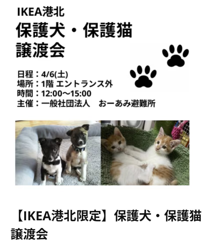 【譲渡会のお知らせ】 4/6(土)12:00-15:00 IKEA港北店様にて ※15時には撤収作業しますので、受付は早めにお願いします。 可愛いワンコもにゃんこも皆さまのご来場をお待ちしています♬ ↓詳細はこちらから ikea.com/jp/ja/stores/e… #おーあみ避難所 #譲渡会 #保護犬 #保護猫 #里親募集中 #横浜市