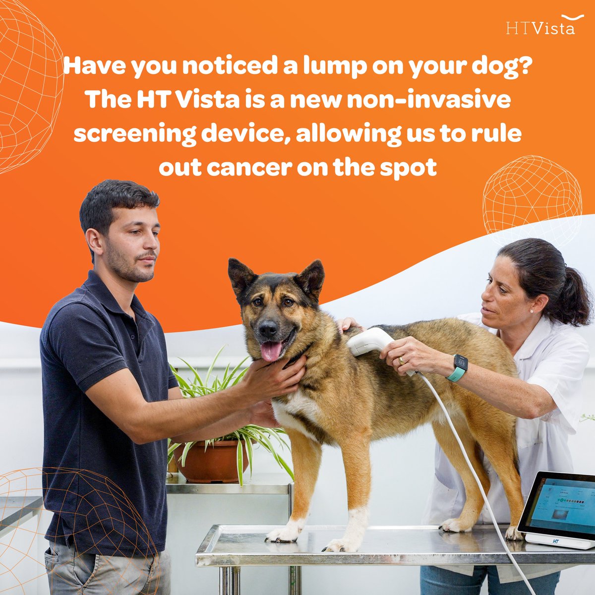 Our innovative device brings quick, pain-free screenings that prioritise your pet's comfort.
Speak to your local veterinarian about the HT Vista device at your next visit. 🩺   
@chantryvets @HTVista
#petcare #pethealth #caninecancer