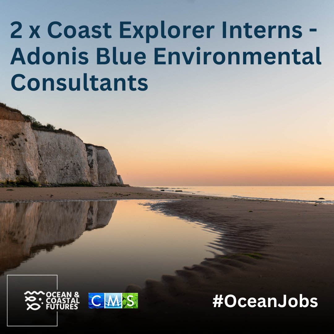 🔔2 x #internship: Coast Explorer Interns –@KentWildlife, @TheCrownEstate ▪️Closing: 12 April ▪️Location: Kent ▪️Salary: £25k per annum ▪️Duration: Full-time, June – Dec ▪️Details 👉cmscoms.com/?p=38521 📩Sign up for #OceanJobs alerts👉 bit.ly/3MiyV7i #marine #intern