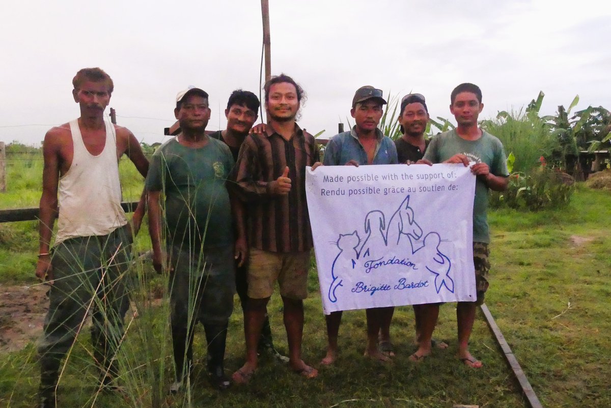 #International
🐘 Nepal: Since 2019, the FBB has been supporting SU4E’s work to protect elephants exploited in the tourism industry. Hosting elephants as well as raising awareness make it an essential project to ensure a better future for Eva, Lhamo and many elephants in Asia.