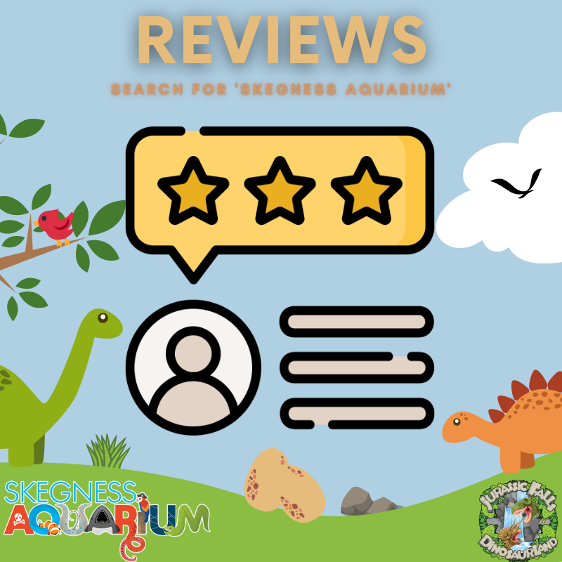 We love checking out reviews ⭐

Search 'Skegness Aquarium' on all platforms to leave feedback and see what others are saying!