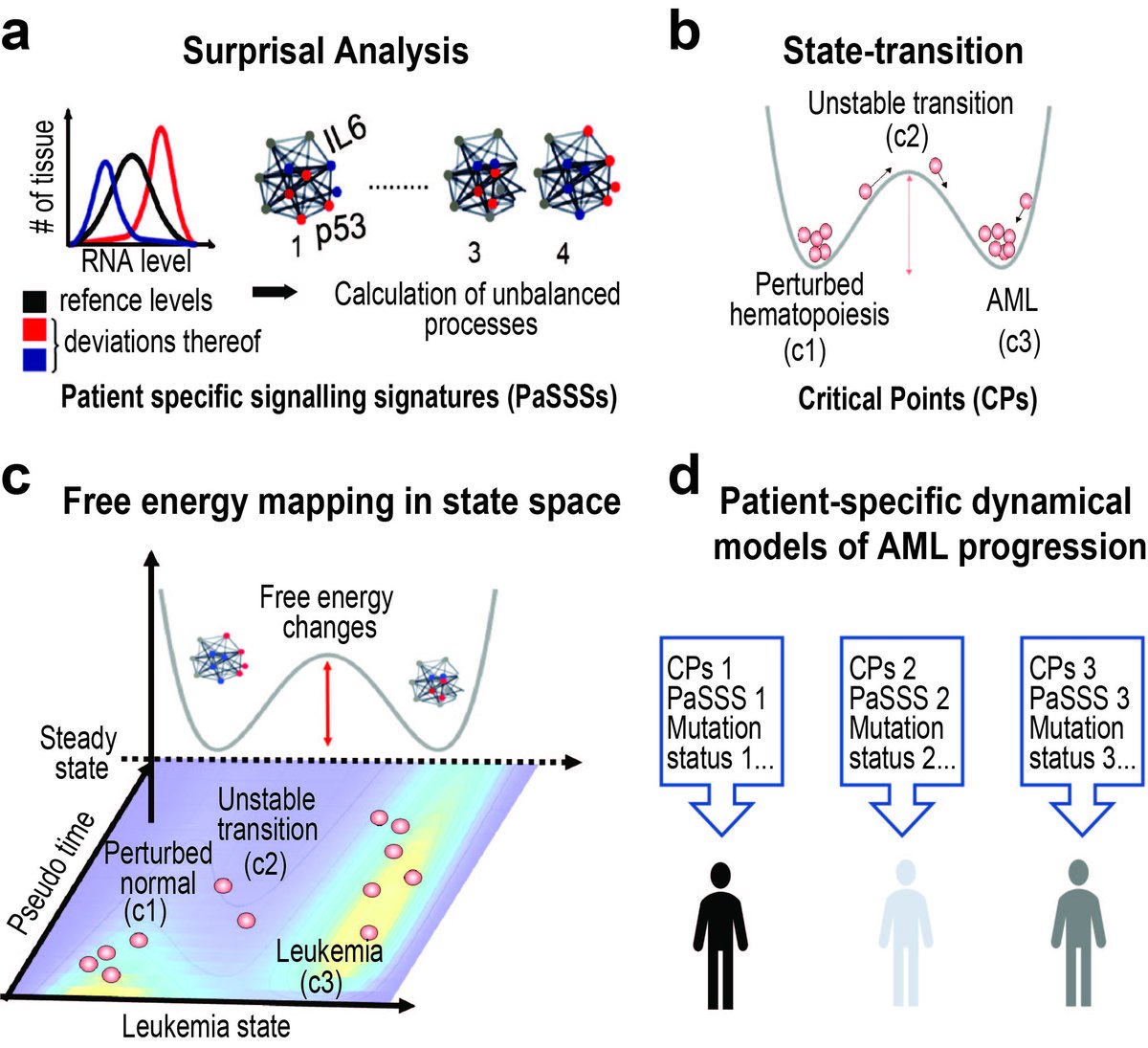 Happy to share our new paper “Transcriptome free energy can serve as a dynamic patient-speciﬁc biomarker in acute myeloid leukemia”. A fantastic collaboration with @rrockne, @lisauechi, @SwethaVasudeva4, and the @cityofhope researchers. @Nature_NPJ nature.com/articles/s4154…