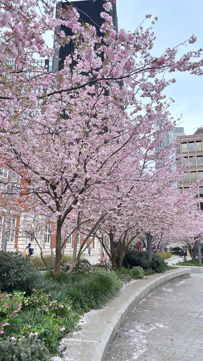 Holly Mason tweet media