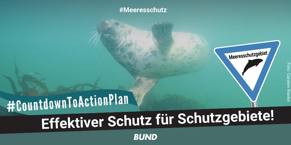 In Schutzgebieten wird mit Grundschleppnetzen gefischt?! 😱 Ja, und sie bedrohen auch die einzigartige und sensible Vielfalt der #Doggerbank. Der Fischerei-Aktionsplan kann das jetzt ändern: Grundschleppnetze raus aus ALLEN Schutzgebieten! @bmel @bmuv #CountdownToActionplan