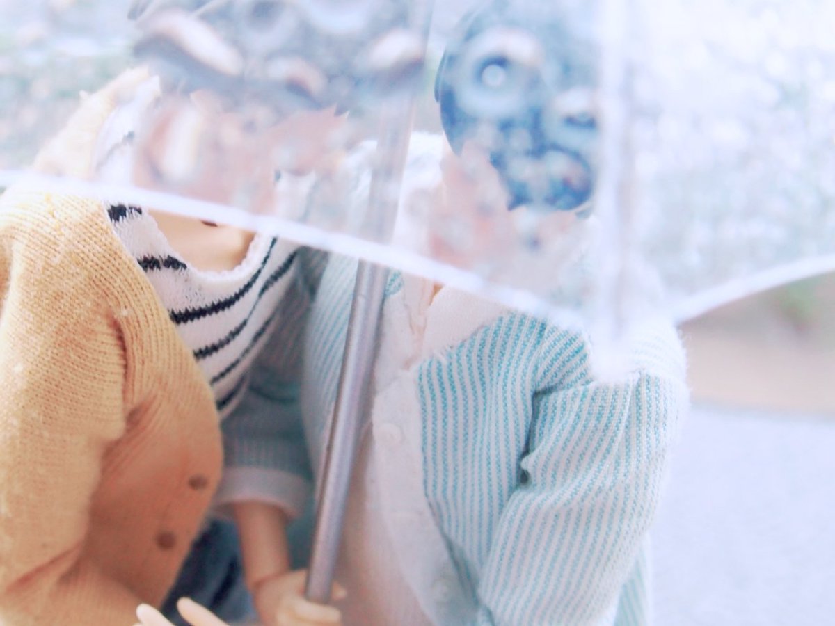 Day 7 Rainy Day

 前に撮ったやつ☂️

#makoharuweek
#makoharuweek2024