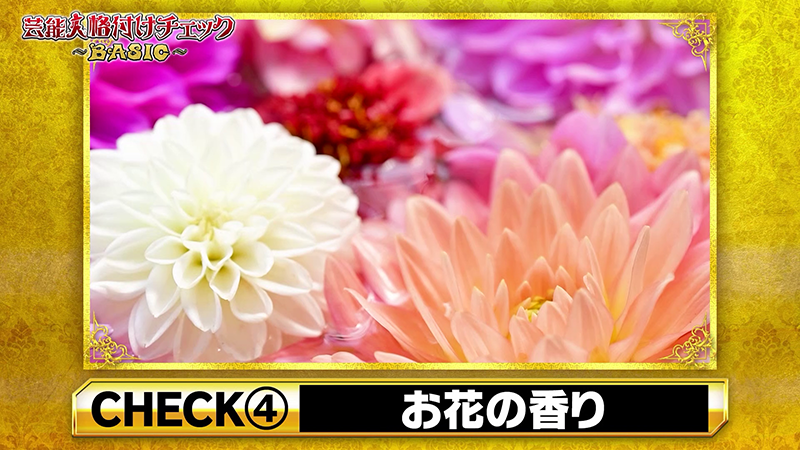 チェック④『お花の香り』🌼 柔軟剤で洗った服を着た大量のおっさんが登場…！？ #髙嶋政伸 くん #高橋克典 さん #一山本 くん #数原龍友 くん (#GENERATIONS) #西畑大吾 #長尾謙杜 #杉浦太陽 くん #辻希美 ちゃん #渋谷凪咲 さん #ゆうちゃみ さん #格付けチェック #なにわ男子