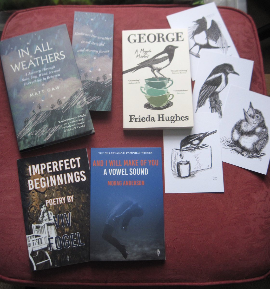 Great #bookpost today! Thanks to @eandtbooks for a copy of IN ALL WEATHERS by Matt Gaw, out on Thursday; @ProfileBooks for the new paperback (and postcards) of GEORGE by Frieda Hughes; and @fly_press for IMPERFECT BEGINNINGS (2023) & AND I WILL MAKE OF YOU A VOWEL SOUND (24 May).