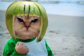 kinglimecat's tweet photo. What it feels like to hold $LIME right now.
The #LIMERS are winning!
$SOL #MemeCoinSeason https://t.co/cVLsq3inVl