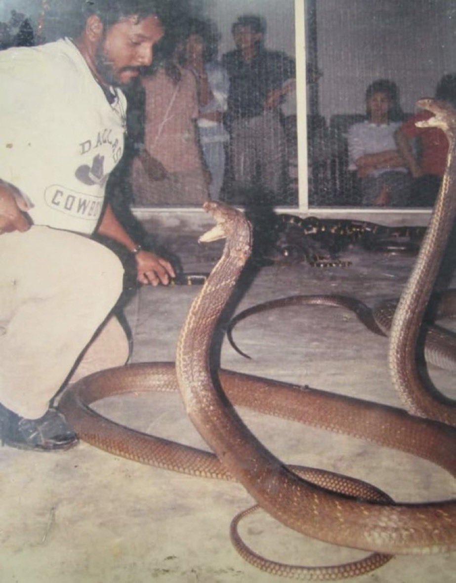 The guy pictured below is Ali Khan Samsudin, a famous snake charmer who regularly performed stunts with cobras. He is most known for locking himself in a room with 400 cobras for 40 days, something most people would consider their worst nightmare. Sadly, after years of doing