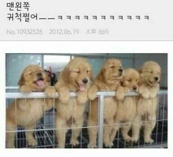 sunkissedbok's tweet photo. 맨왼쪽
귀척쩔어ㅡㅡㅋㅋㅋㅋㅋㅋㅋㅋㅋ https://t.co/8WV1PIoUNk