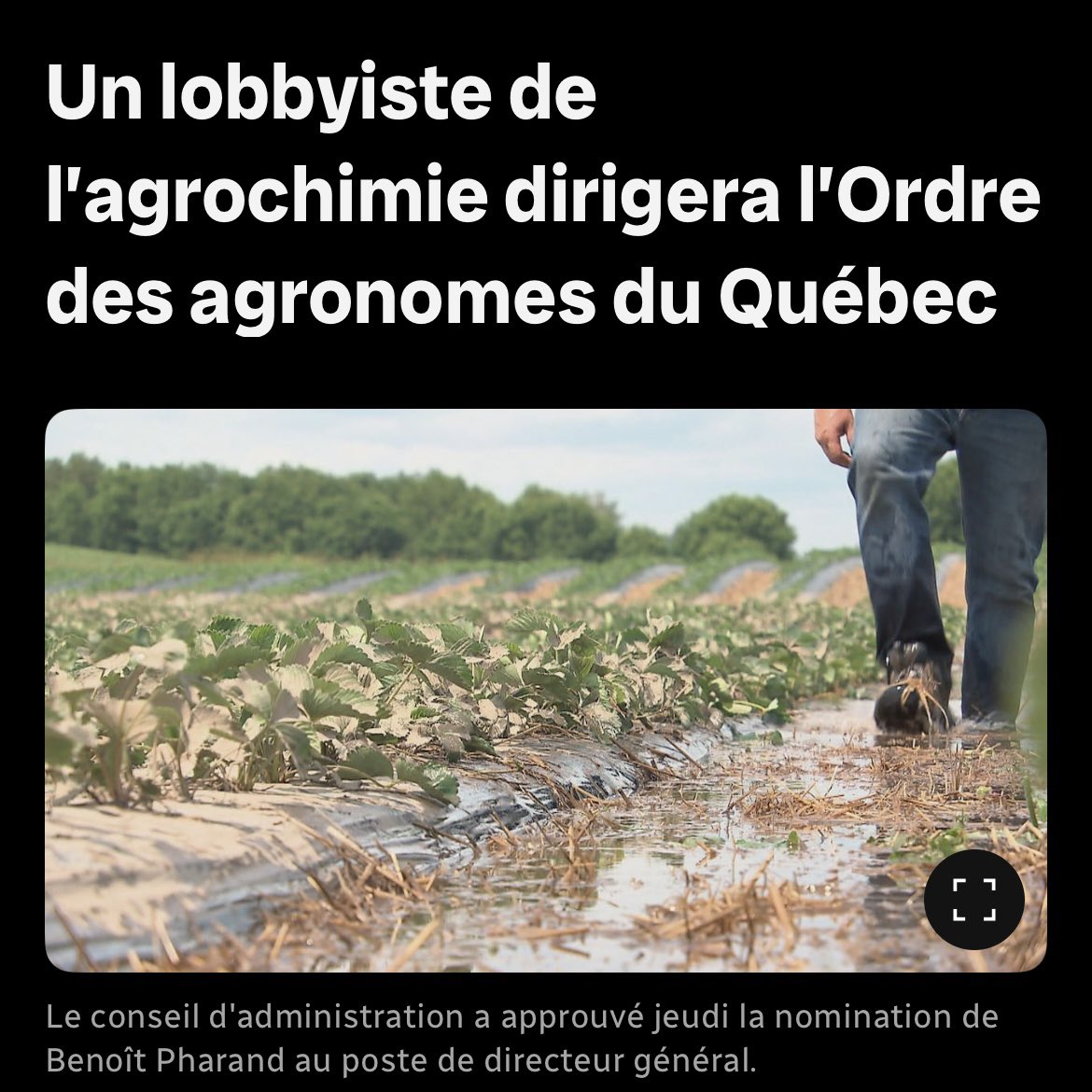 ThomasGerbet's tweet photo. Un lobbyiste de l'industrie agrochimique dirigera l'Ordre des agronomes du Québec, alors que gouvernement Legault n'a pas encore tranché les enjeux d'indépendance des professionnels https://t.co/Phvc78Mzvv #polqc https://t.co/RbuOH5LauQ
