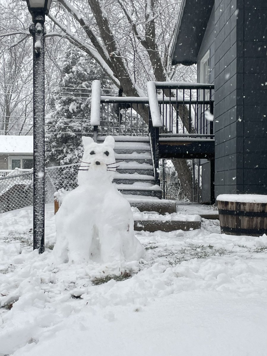 DynamicsCatDad's tweet image. Snowy Sunday Funday.