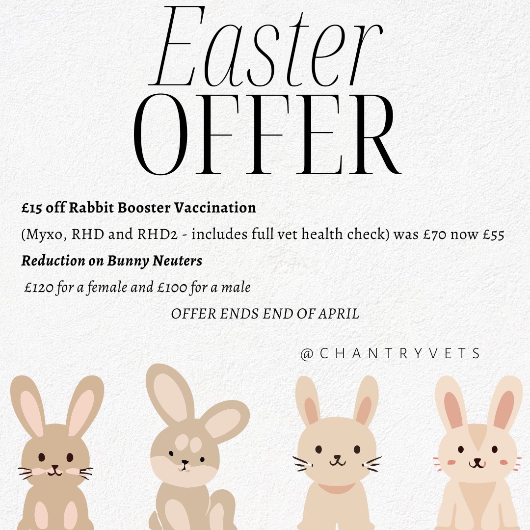 Chantry Vets (@chantryvets) on Twitter photo 🐰Easter Bunny Offer starting now until end of April.
We have a few Bunnies within the Chantry Vets Team - Pictured. Call us to get booked in on 01924 362464
<a href="/ChantryVets/">Chantry Vets</a> 🐰Easter Bunny Offer starting now until end of April.
We have a few Bunnies within the Chantry Vets Team - Pictured. Call us to get booked in on 01924 362464
<a href="/ChantryVets/">Chantry Vets</a>