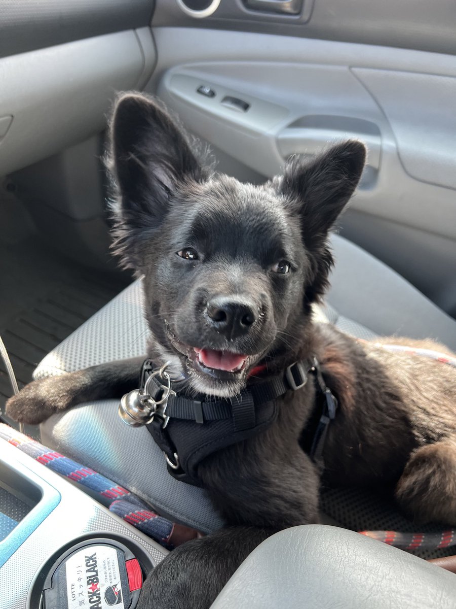 $MarkSherWin007 💊 !VNV Ⓜ️ tweet media