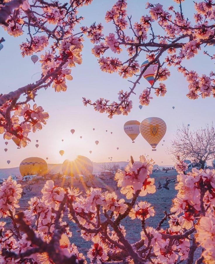 🔆🌸Spring in Cappadocia, Turkey🎈☀️🎈 I wish you all a happy day and nice New week🍃💞🍀