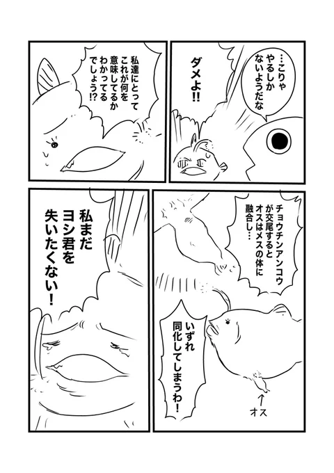 (2/2) 