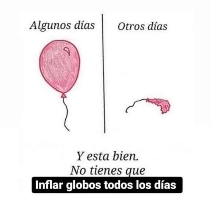 iri.prochetto tweet media