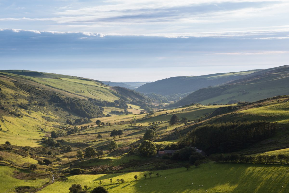 Dechreuwch fwyta'n gynaliadwy gyda'n canllaw cyflym! 💡 Lleihewch wastraff bwyd, pecynnu, a defnydd ynni yn y gegin. Mwynhewch ryseitiau blasus, cyfeillgar i'r blaned. Dechreuwch yn syml, ac arbed amser, arian, a'r blaned. Cliciwch yma am fwy: bit.ly/3wNCgrP