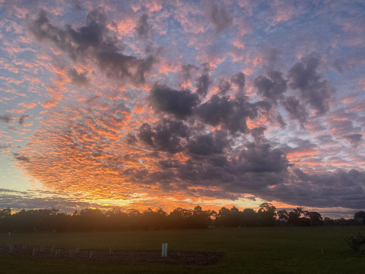 Nice sky this evening.