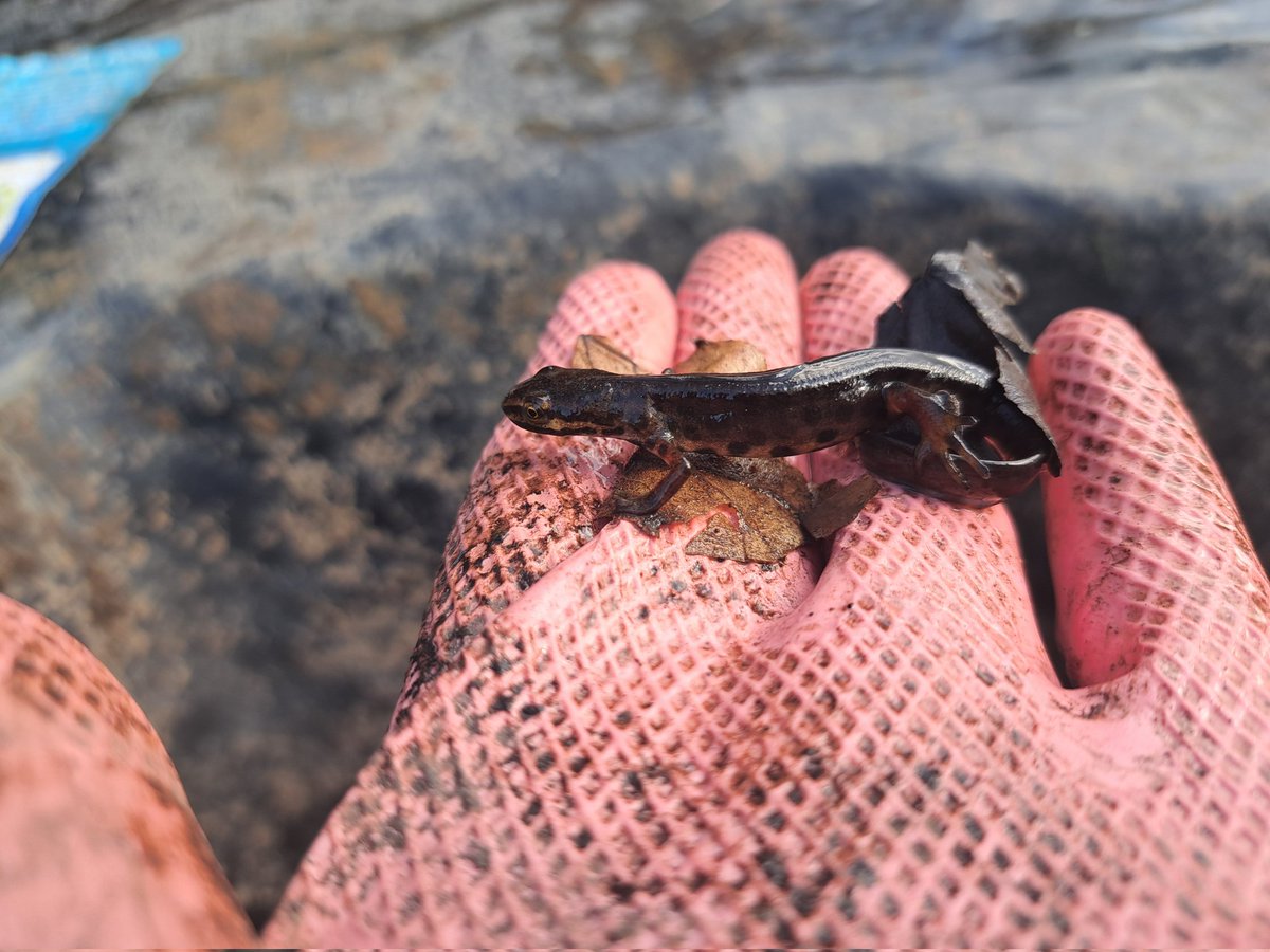 Jack Ashby tweet media