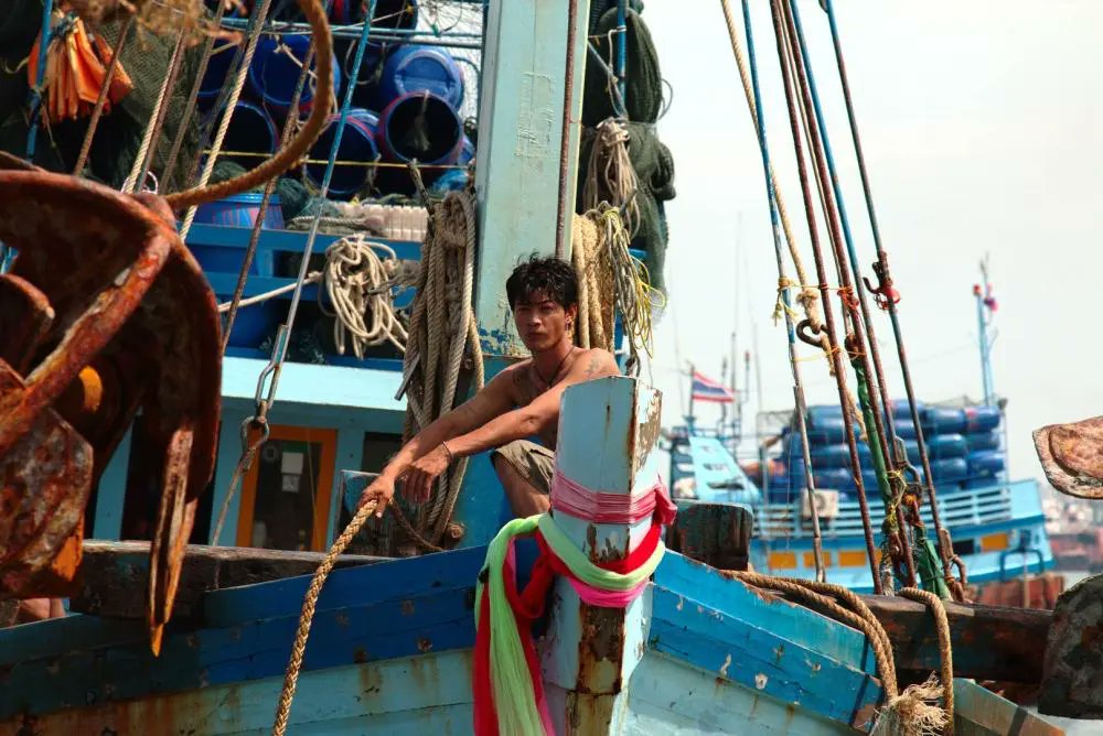 Bangkok Post correctly hammers PM Srettha @Thavisin gov't & coalition parties who are proposing to re-introduce legal provisions that facilitate human trafficking & rights abuses, & given green light to harmful IUU fishing practices. @EU_MARE @eu_eeas @hrw bangkokpost.com/opinion/opinio…