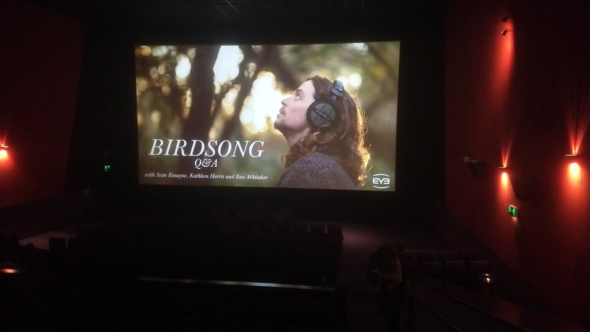 These last 2wks have been amazing. The screenings have been such a joy - the responses incredible. Thanks so much! Today we have 2 screenings at @IFI_Dub. Still some tickets for the 2nd at 20:30 (link 👇). Back to sharing bird sounds soon, I promise! 🎟️birdsongfilm.com