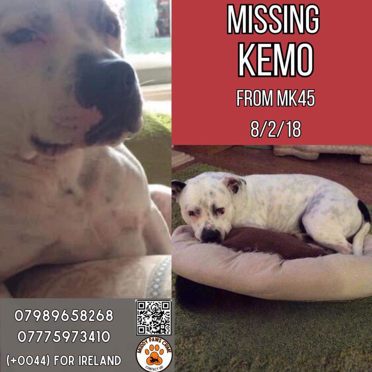 @minpin78 @Find_Kemo New poster if you wish to use it #FindKemo