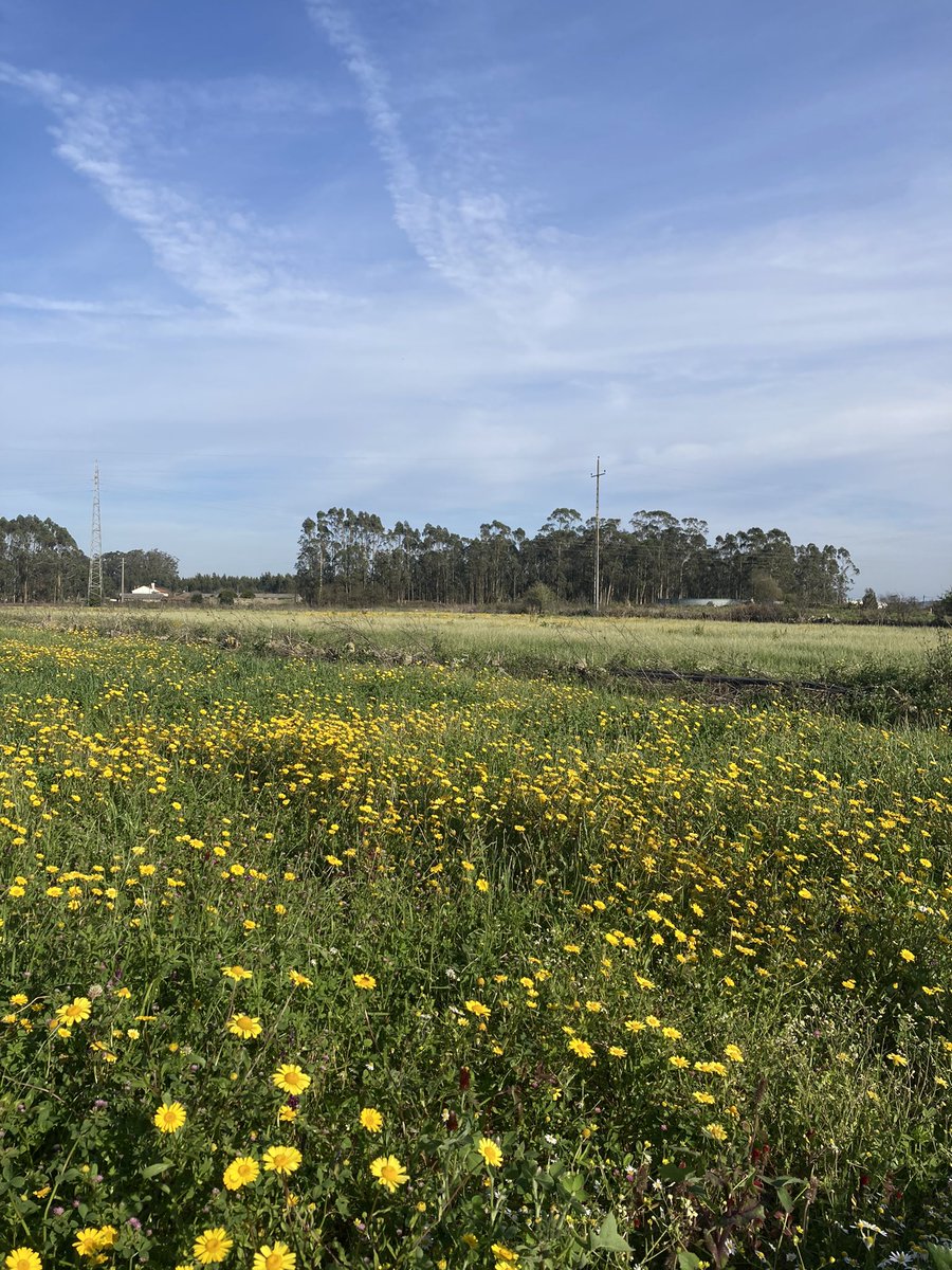 6minapres tweet media