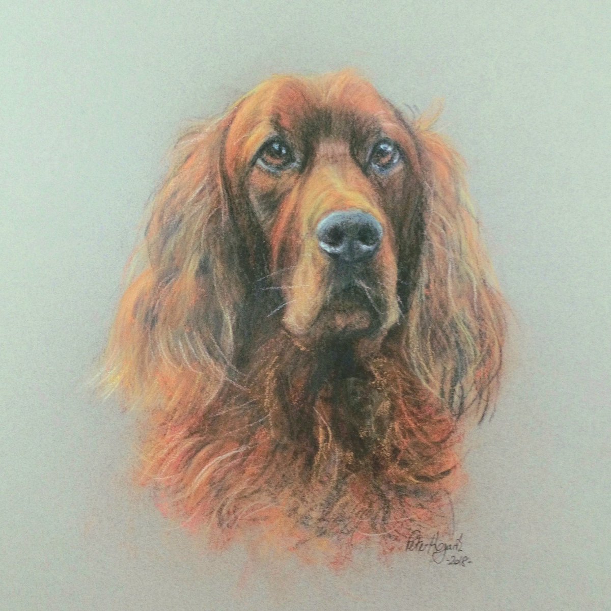 A portrait of an Irish Red Setter to greet you today.  I was commissioned to portray this graceful and beautiful dog in 2018. -soft pastels on Canson Mi Teintes paper 😊