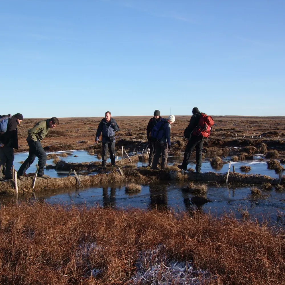 We're looking for a #GreatNorthBog Development Coordinator to join us @WaterLANDS_EU 
- an exciting EU funded wetland restoration project.  We need experience in green finance & carbon markets.  Pls spread the word. Apply by 2 April bit.ly/49IshCZ