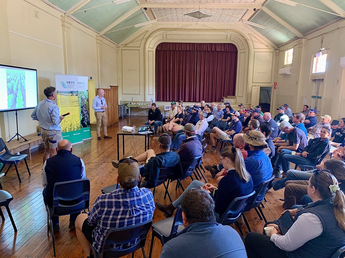 ✨✨✨ An excellent morning on faba beans today curated by @brill_ag and @gsandral with @theGRDC investment. A terrific line-up of speakers including @MathewDunn19, @Price_Tom97, @brill_ag, @nswdpi’s Kurt Lindbeck, Mal Kolhaghan, @ganmain, Stephen Cooper and @grassrootsag. Thank…