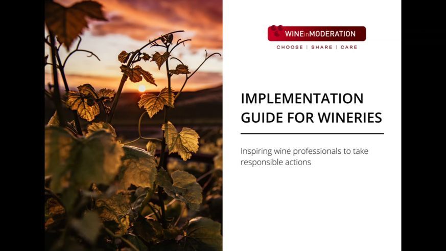 As part of Wine in Moderation, you can develop small or large-scale activities depending on your scope and resources, structure, and needs. Discover how to take action ➡️ buff.ly/49Do4QM