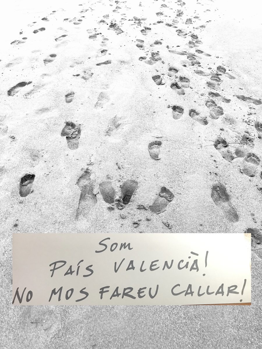 El valencià i la memòria.

lapedraielmarge.blogspot.com/2024/03/el-val…