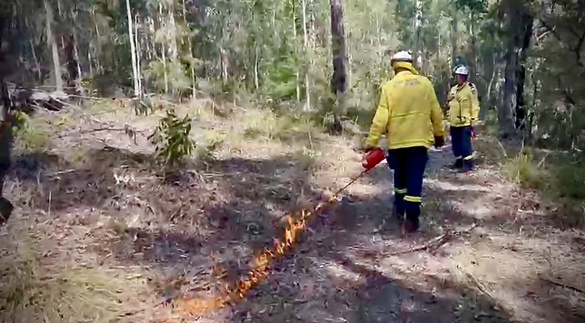 Over the coming days fire agencies across the state will be conducting a number of hazard reduction burns. Smoke from these burns is likely to settle across residential including areas of Sydney, Southern Highlands, the Illawarra & the ACT & surrounds. rfs.nsw.gov.au/fire-informati…