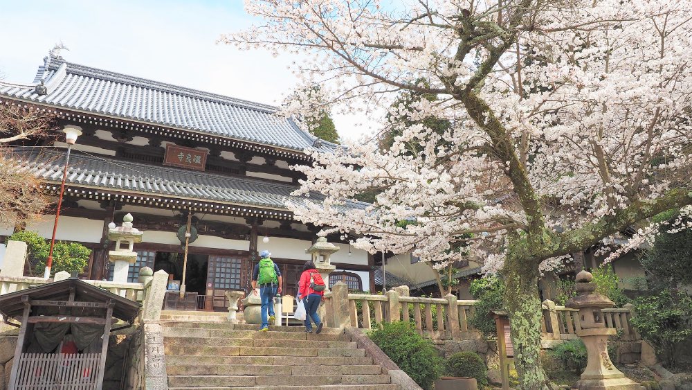#有馬温泉 で桜を楽しもう🌸 神戸の市街地から電車で約30分🚃日本三古泉の一つである有馬温泉は桜の名所としても有名♨️ 有馬川・善福寺・温泉寺など、有馬ならではの桜スポットをめぐってみてください🐾温泉やグルメも楽しんで♪ ▽その他、神戸の桜の名所はこちら feel-kobe.jp/feature/kobe-s…