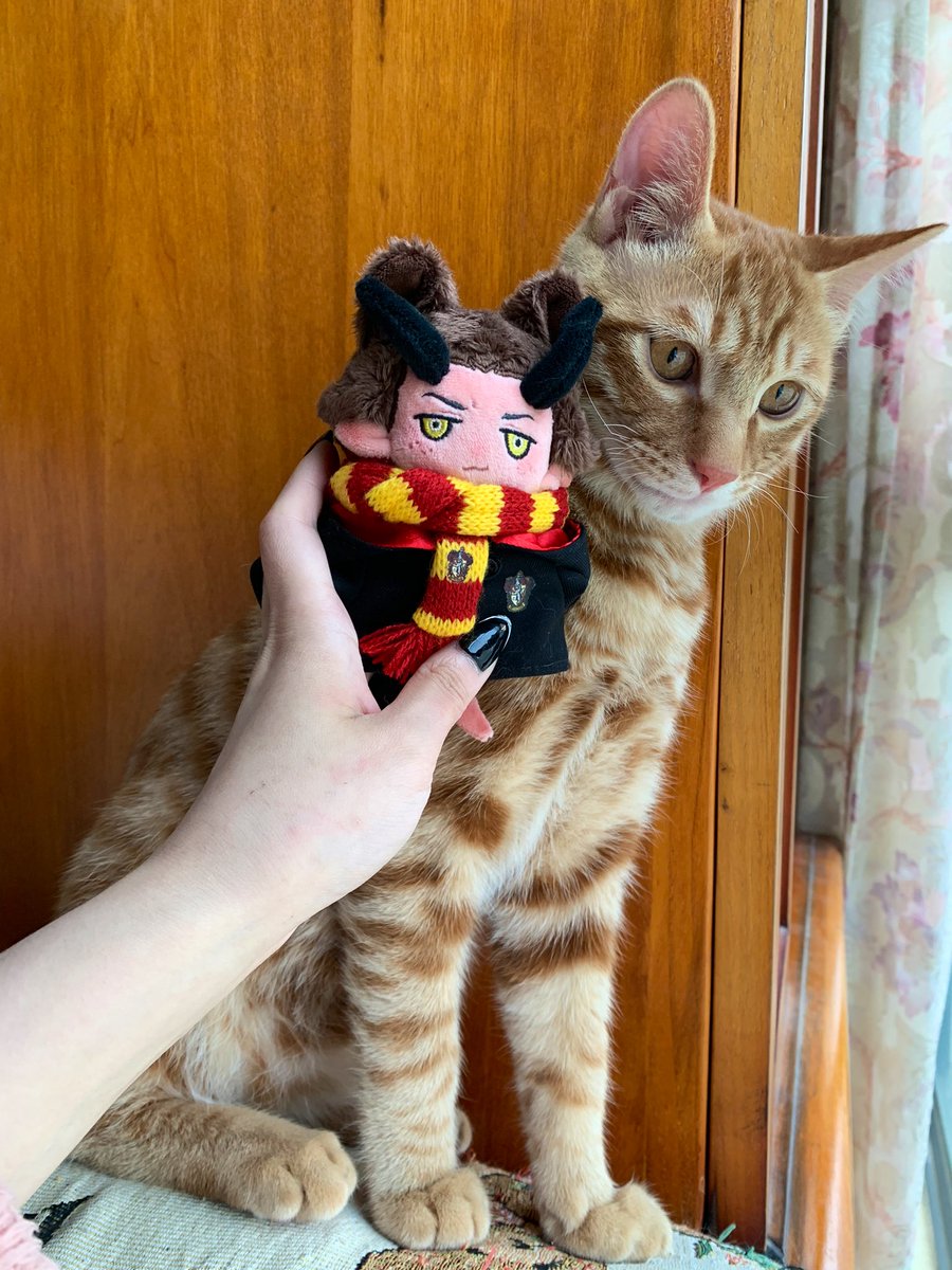 ash (@vhemilk) / Posts / X