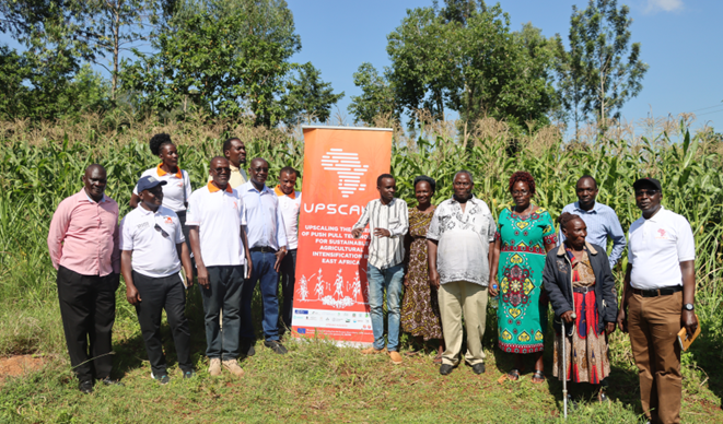 upscale_h2020's tweet photo. 🌱Our partners @icipe and @Maseno_Uni organized the 3rd Kenya Annual National MAC Meeting.
🔗 What could participants hear, see and discuss, discover at the following link: https://t.co/JGoP0GUAsv
#UPSCALE #PushPullTechnology #SustainableAgriculture https://t.co/x8jh8z7LtD