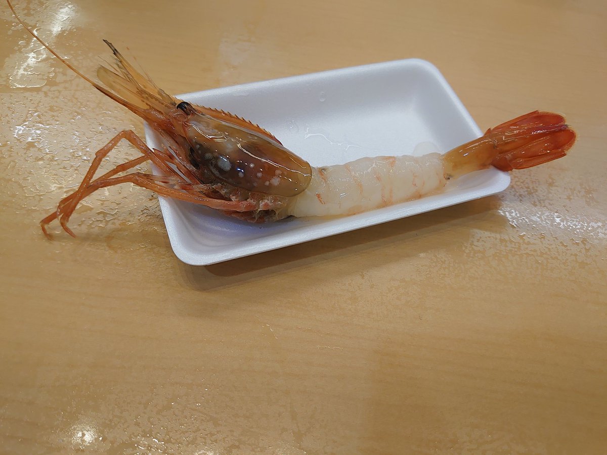 ASATO1_king's tweet photo. https://t.co/ylz51UDDvy
