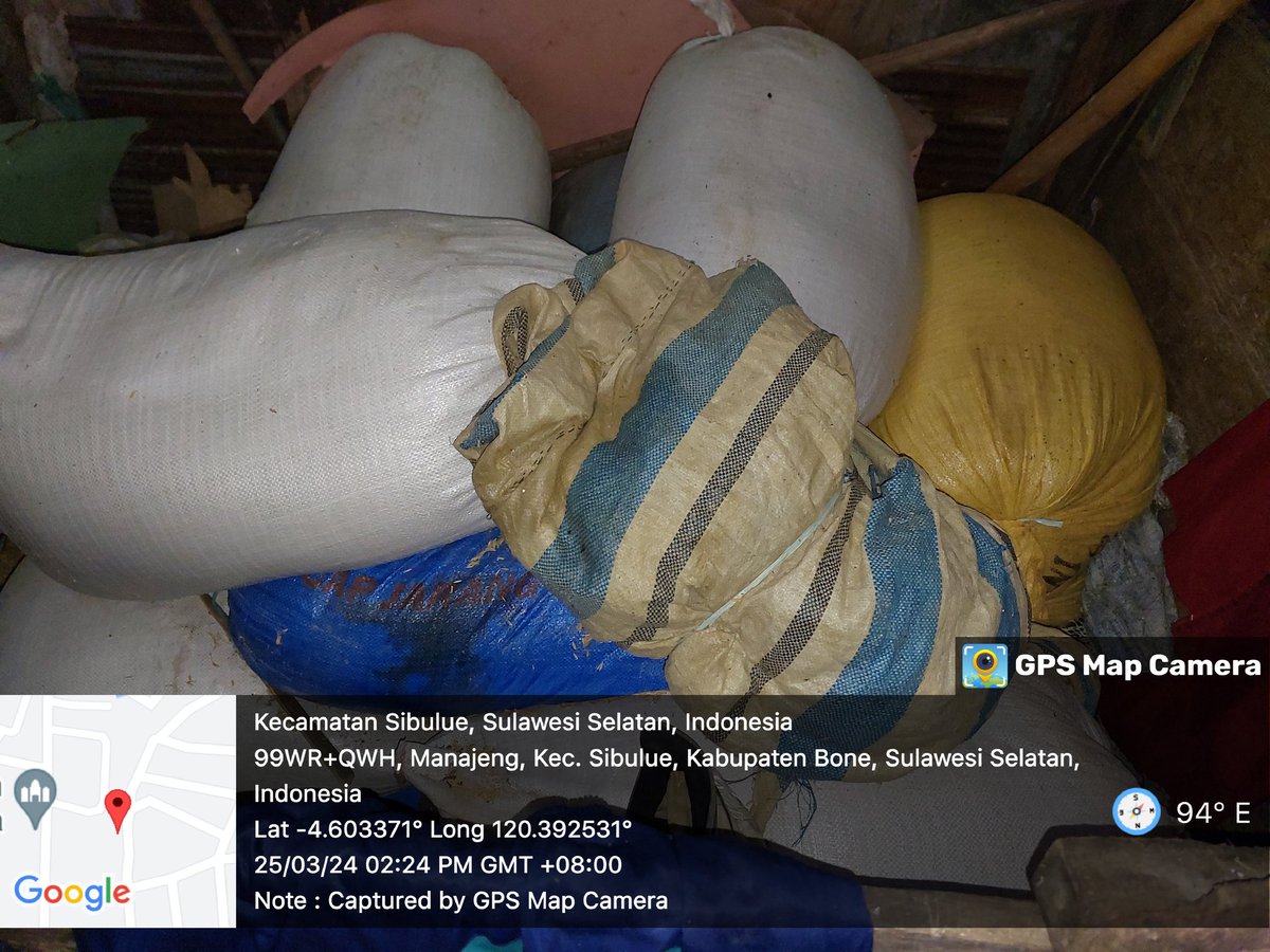 MSyafruddin15's tweet photo. Senin (25/3/2024), M. Syafruddin, Luhkan Kab. Bone, 
di Pokdakan Pakkamase Ds Manajeng, mendampingi Panen 
Rumput laut pantai, long line, sebanyak 3500 kg, 
luas perairan laut 18000 m2, bobot panen 1000 gr, harga 17000/kg

#GiatLuhkanSatminkalMaros #BONE #Panen https://t.co/AHoZyfP6Ht