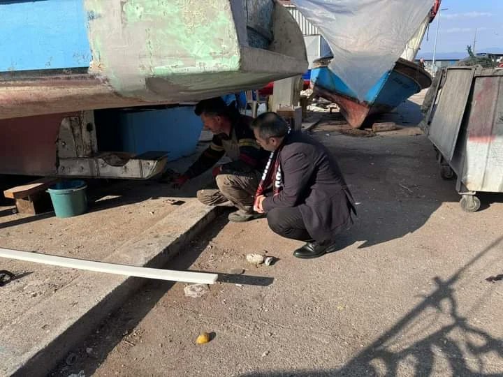 devakaramursel1's tweet photo. Bugün ekmeğini sudan çıkaran emekçi Ereğlili balıkçılarımızı ziyaret ettik 🐟🌊 hoş sohbetleri için teşekkürler
#devahazır💧🌱 #Devapartisi #AliBabacan #kocaeli #karamürsel @CUNEYT41500 @zeynep_sudan @YunusEmreKati @KocaeliyeDEVA @bdalgin #alembuysadevasensin https://t.co/qSCl5cbTKm