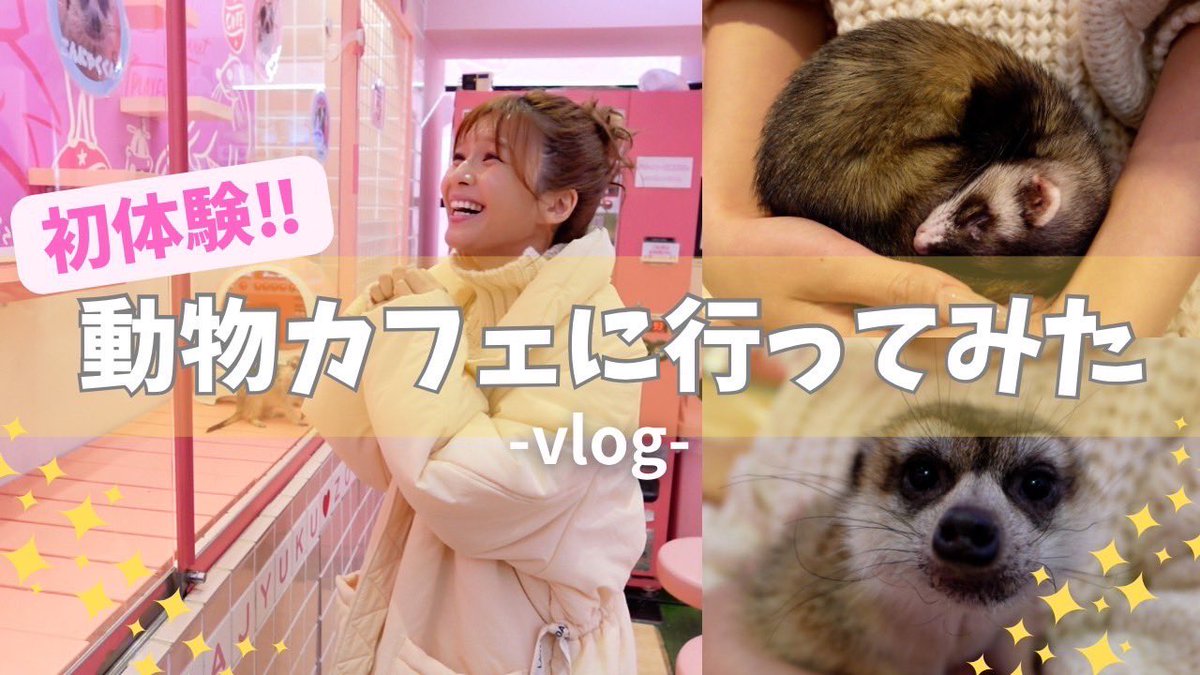 ／　　　　　　　　　　　 　🔔YouTube公開🔔 原宿かわいい動物園に行ってみた‼︎ ＼　 ▶️ youtu.be/4aUyNuEXXzU 今まで触れ合ったことがない動物がたくさんいた🥺✨可愛すぎて感情崩壊した🥺💕 トークショーに合わせて、YouTubeをどこかに撮りに行こうかなぁと考えてます🤫 #宇野実彩子