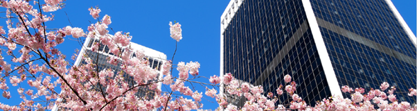 NorfSuff_IFA's tweet photo. Read the latest commercial property news in our Commercial Property Market Review. Including: disappointment for commercial property from the Spring Budget, Chinese developers selling up, latest investment outlook and more #commercialproperty #investment 
https://t.co/c4XybLaHtW https://t.co/Fl3UiLtDX5