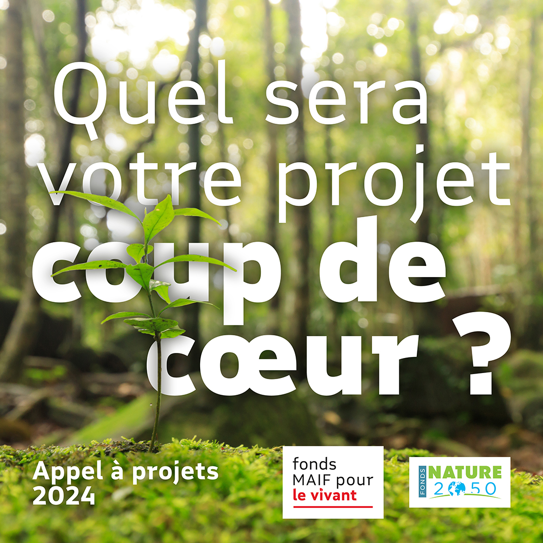 🌱Agir contre le dérèglement climatique avec le #DividendeEcologique. 
À l’issue de l’appel à projets 2024 Fonds MAIF pour le vivant–Nature 2050, voici les 15 projets présélectionnés !⤵️
fondsmaifpourlevivant.maif.fr
🌍Sociétaires @MAIF, votez pour votre coup de 💚!
#ChaqueActeCompte