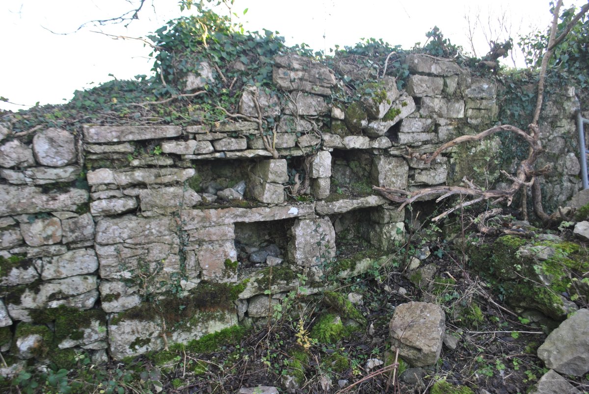 I am still looking for information on the location of dovecotes in County Galway. I have many examples recorded, but feel that there are likely others I have missed. They are generally found in the walled gardens &amp; demesnes of the large houses. Email: christycunniffe@gmail.com