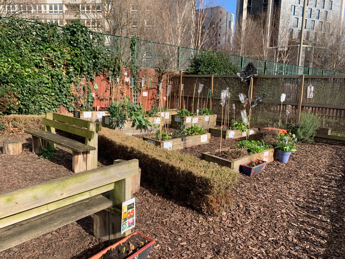 Carpenters Primary School (@cpse15) on Twitter photo We are delighted to have received some funding for materials from <a href="/sjpwealth/">St. James's Place</a>! This funding has made it possible for us to buy a new wormery for our school! A HUGE thank you to <a href="/GyoPlayground/">GYOPlayground</a> for arranging this and always providing such exciting gardening sessions! πͺ±ππΏπΊ We are delighted to have received some funding for materials from <a href="/sjpwealth/">St. James's Place</a>! This funding has made it possible for us to buy a new wormery for our school! A HUGE thank you to <a href="/GyoPlayground/">GYOPlayground</a> for arranging this and always providing such exciting gardening sessions! πͺ±ππΏπΊ