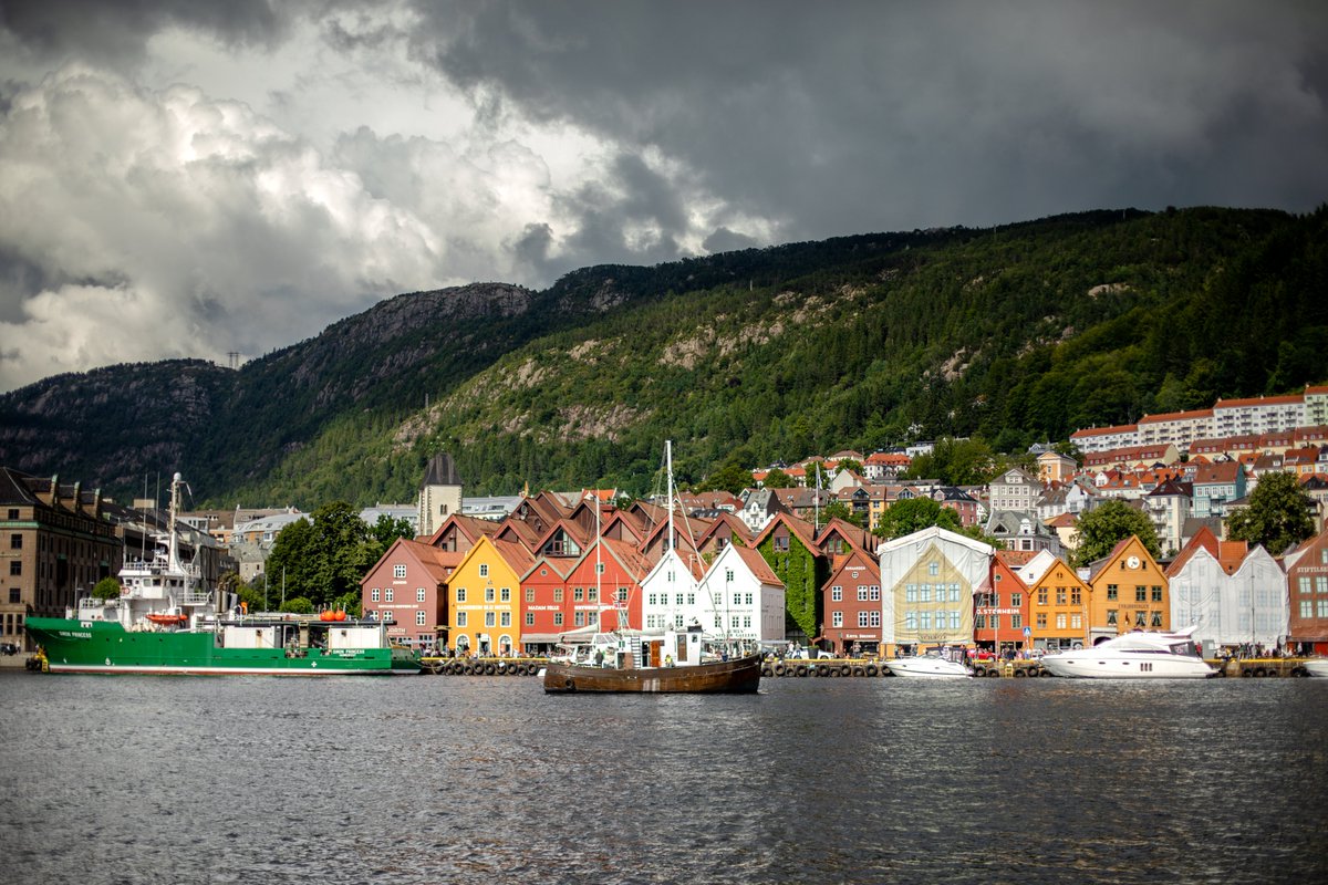 hellolaroux tweet media